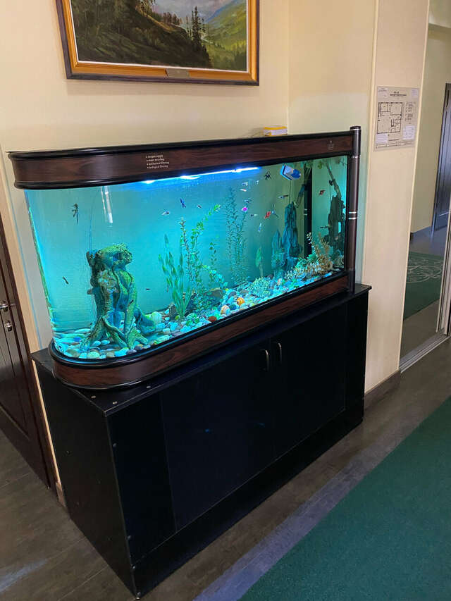 Гостиница Бел Отель Белореченск-163